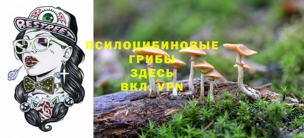 не бодяженный Абаза
