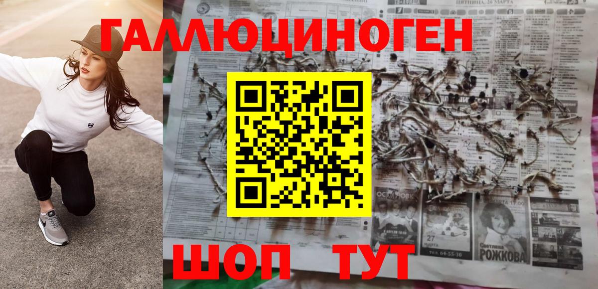 Псилоцибиновые грибы прущие грибы  Вход с VPN  Псилоцибиновые грибы Magic Shrooms  магазин    Дербент 