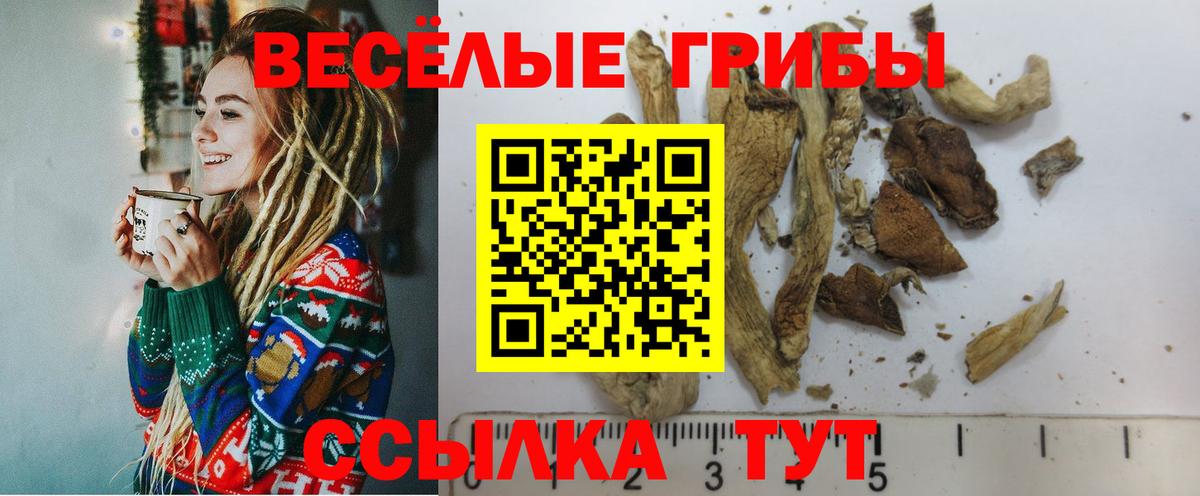 Галлюциногенные грибы Cubensis Дербент
