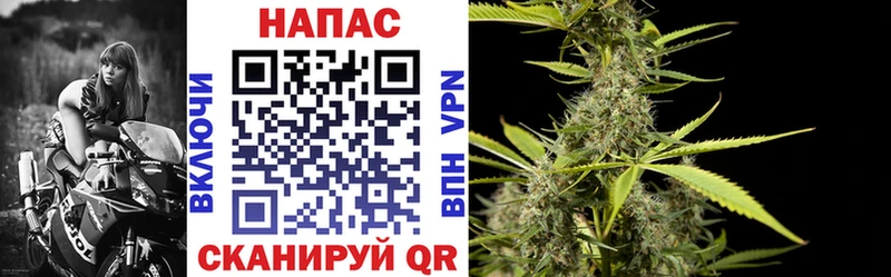 Канабис план  Дербент 